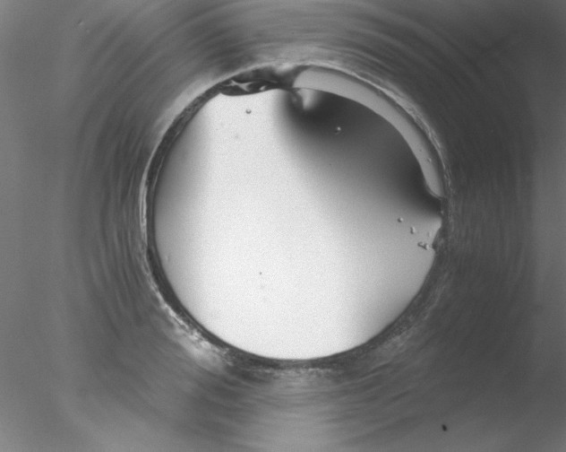 X0000076430988200611031835