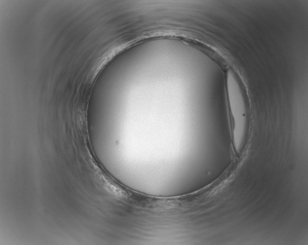 X0000076430993200611031835