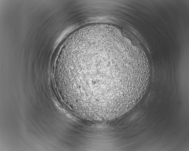 X0000076430994200611031835