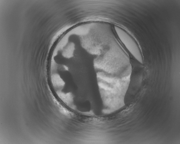 X0000076430995200611031835