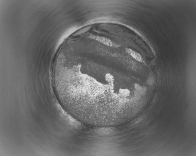 X0000076430998200611031835