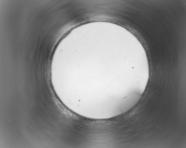 X0000076431000200611031835