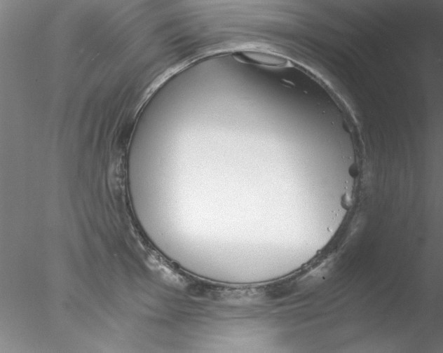 X0000076431001200611031835