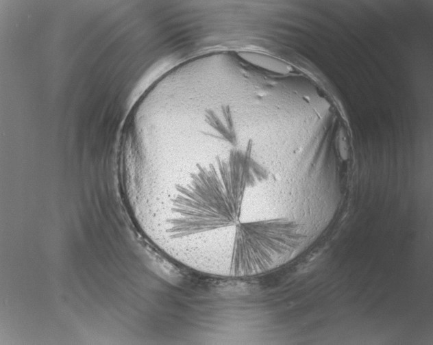 X0000076431002200611031834