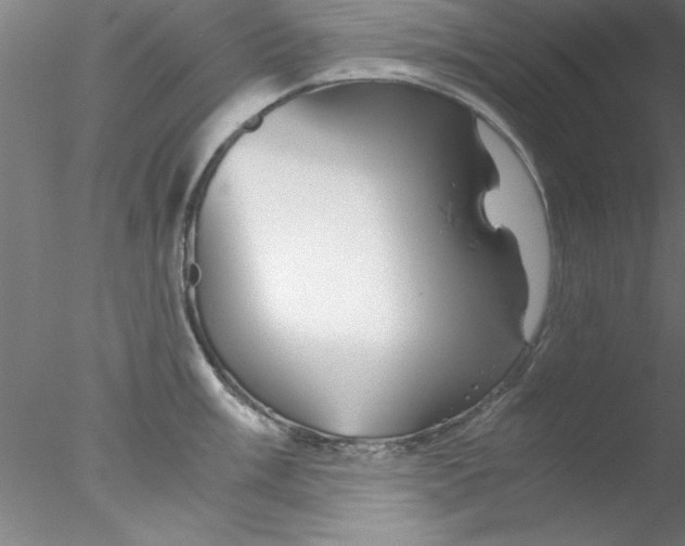 X0000076431003200611031834