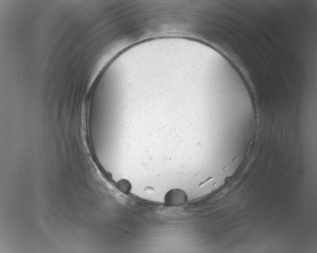 X0000076431006200611031834