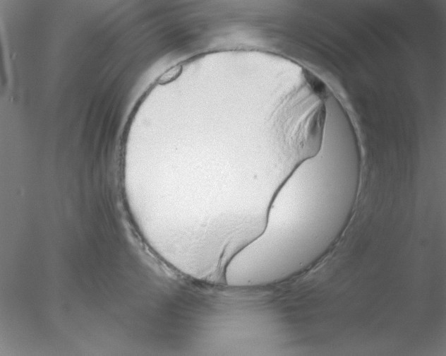 X0000076431008200611031834