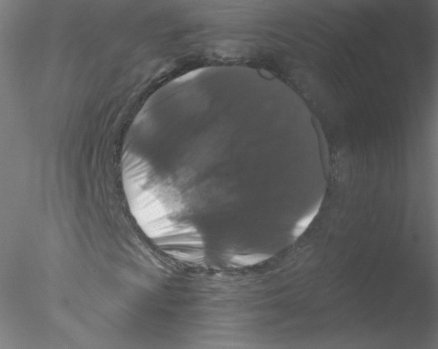 X0000076431009200611031834