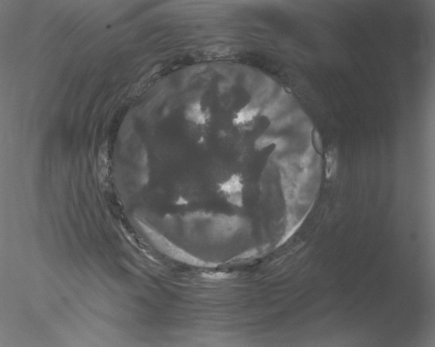 X0000076431011200611031834