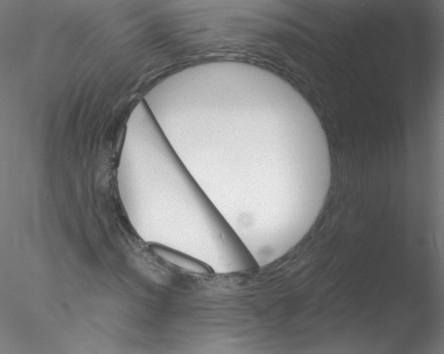 X0000076431012200611031834