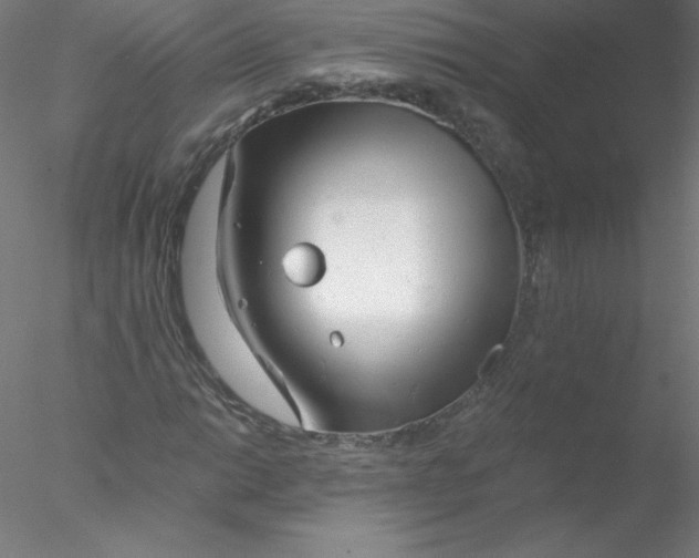 X0000076431014200611031834