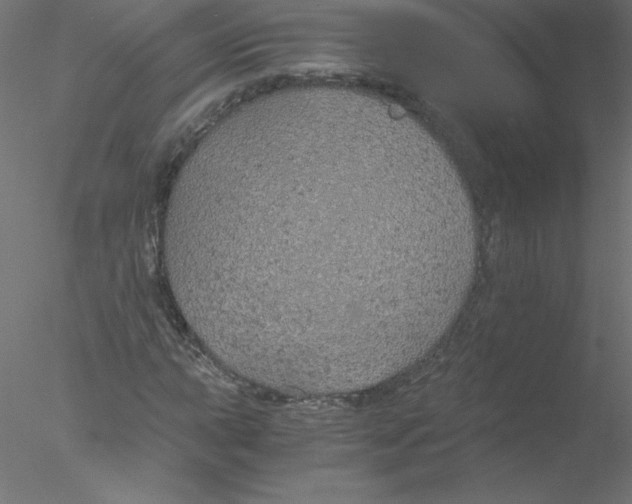 X0000076431015200611031834