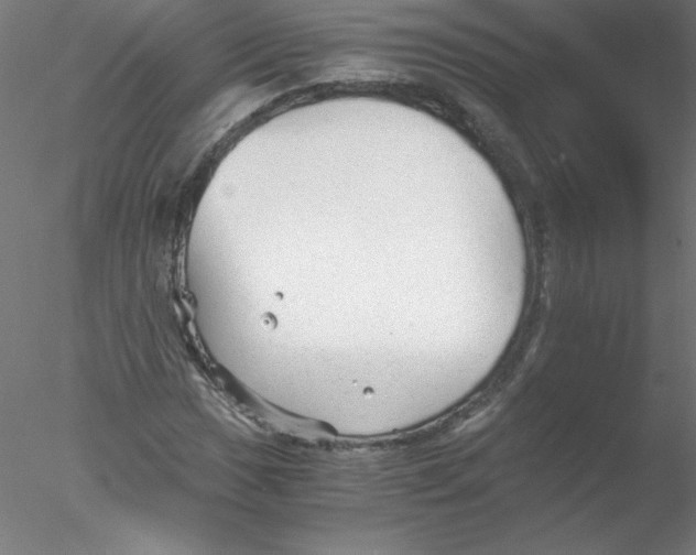 X0000076431017200611031834