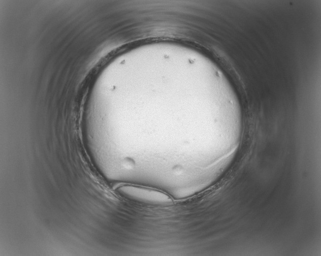 X0000076431019200611031834