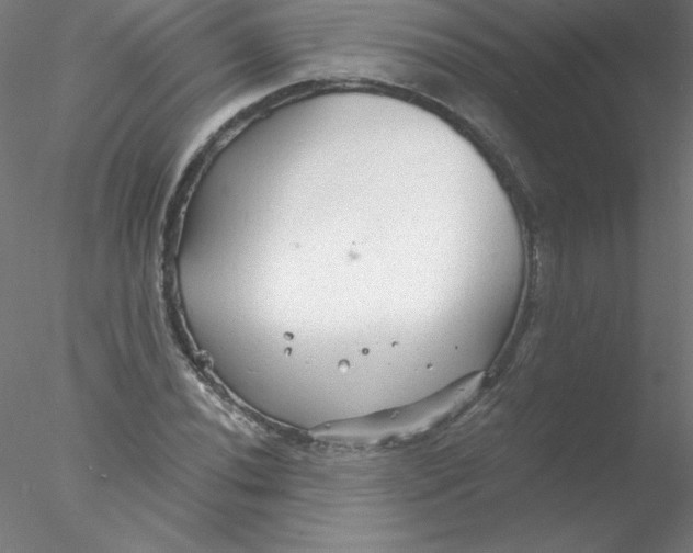 X0000076431020200611031834