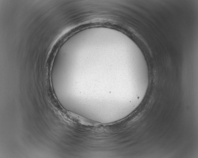 X0000076431021200611031834