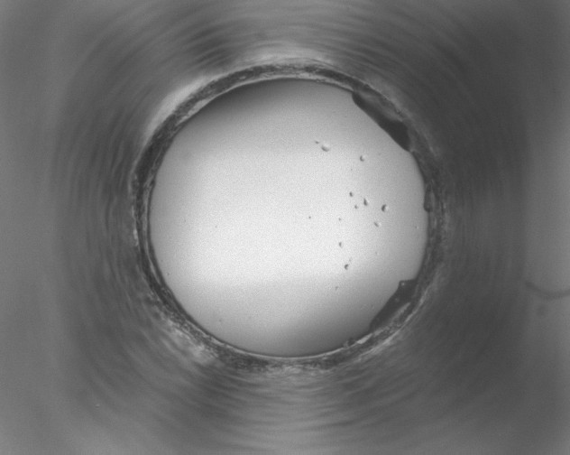 X0000076431022200611031834