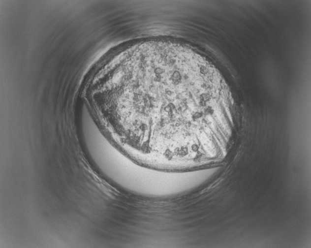 X0000076431023200611031834