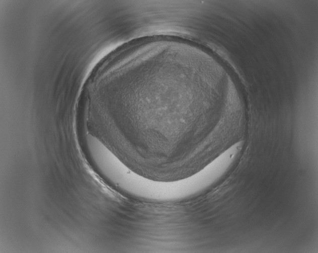 X0000076431024200611031834