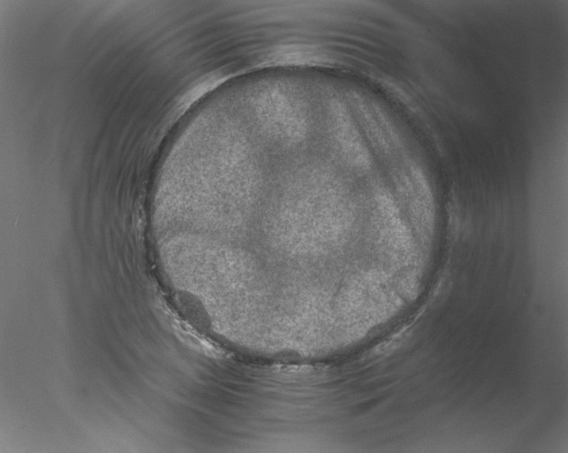 X0000076431025200611031834