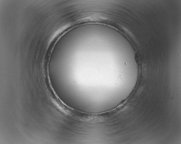 X0000076431026200611031834