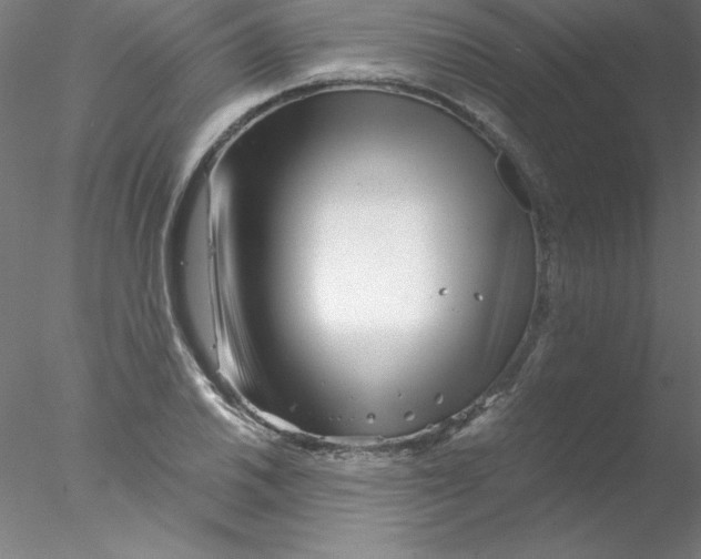 X0000076431030200611031834