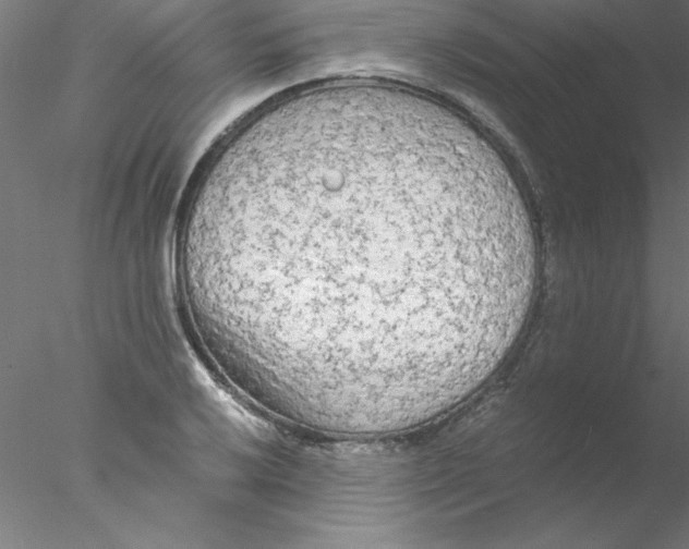 X0000076431032200611031834