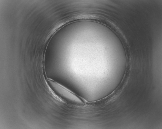 X0000076431033200611031834