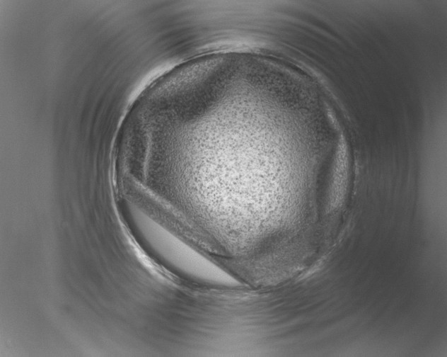 X0000076431034200611031834