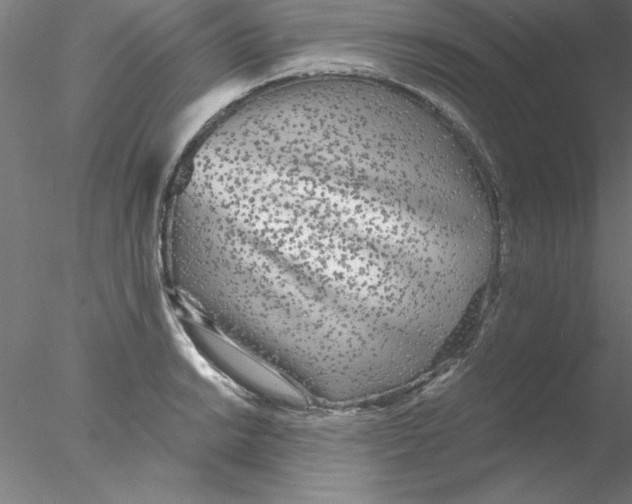 X0000076431038200611031834