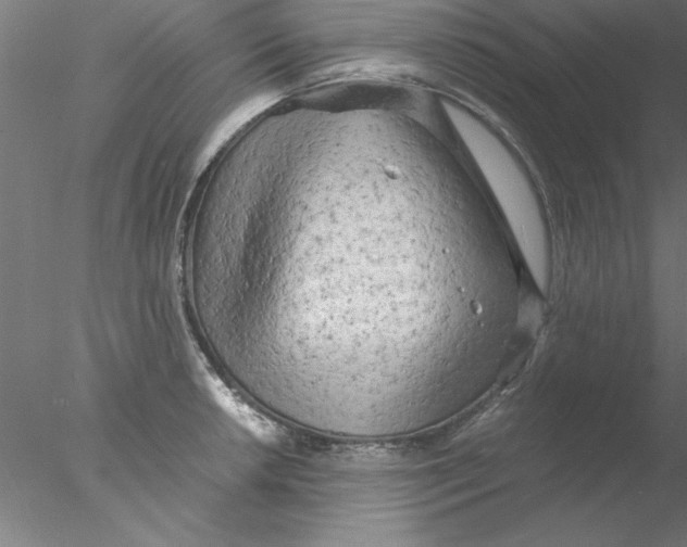 X0000076431042200611031834