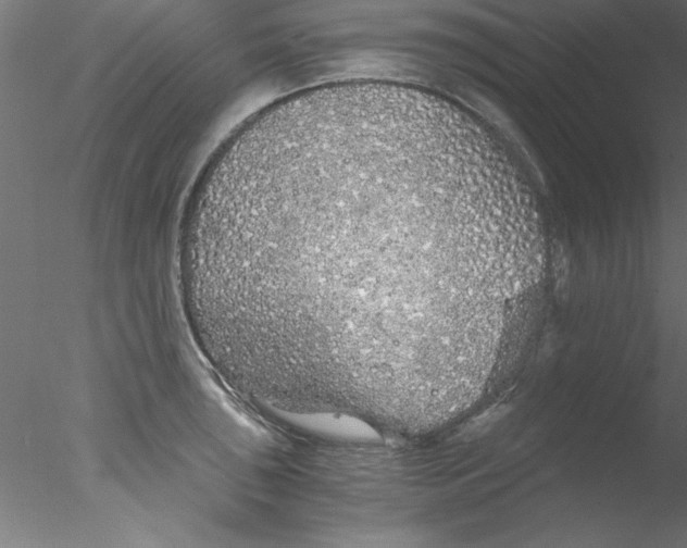 X0000076431043200611031834