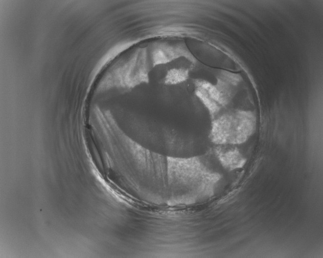 X0000076431045200611031834