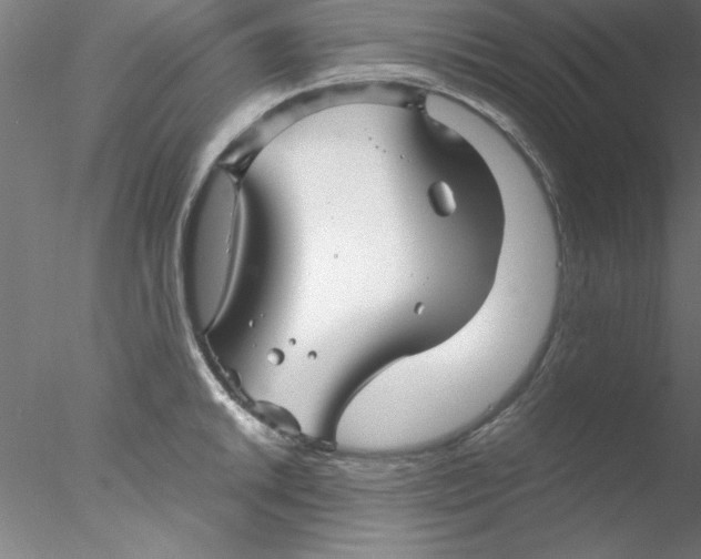 X0000076431046200611031834