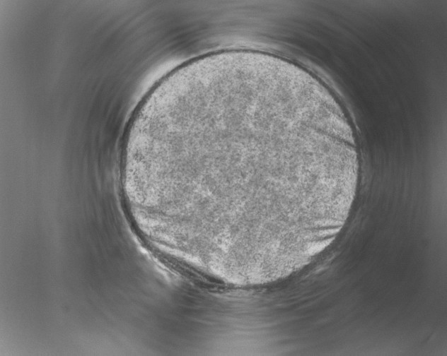 X0000076431048200611031834