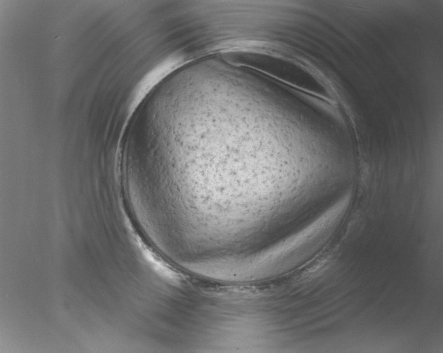 X0000076431050200611031834