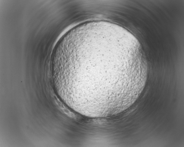 X0000076431052200611031834