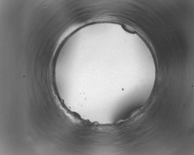 X0000076431053200611031834