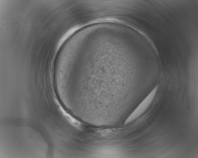 X0000076431054200611031834