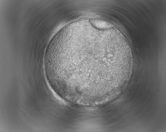 X0000076431055200611031834