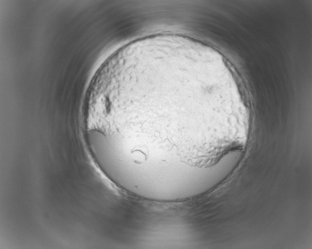 X0000076431056200611031834