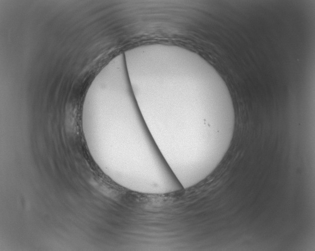 X0000076431060200611031834