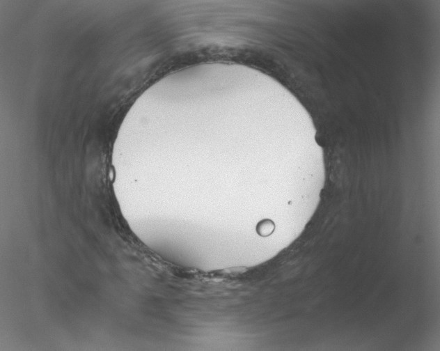 X0000076431061200611031834