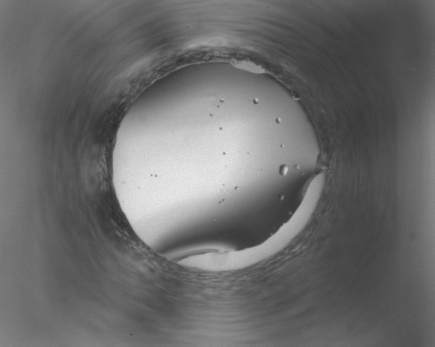 X0000076431062200611031833