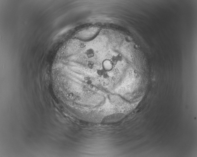 X0000076431063200611031833