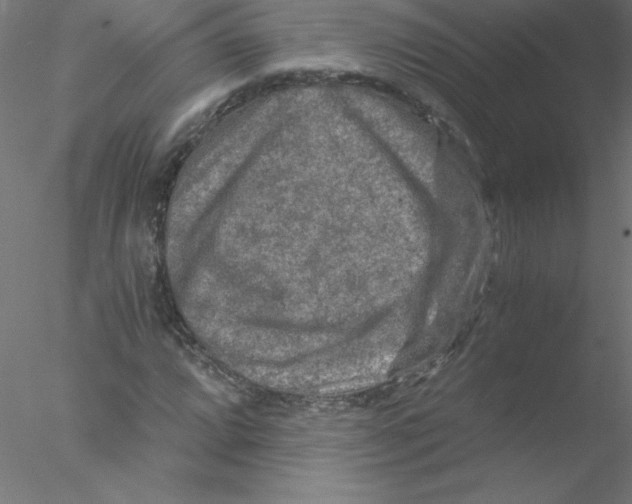 X0000076431064200611031833