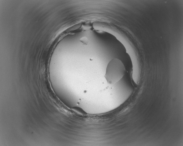 X0000076431065200611031833