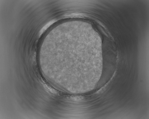 X0000076431066200611031833