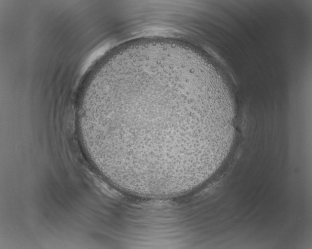 X0000076431067200611031833