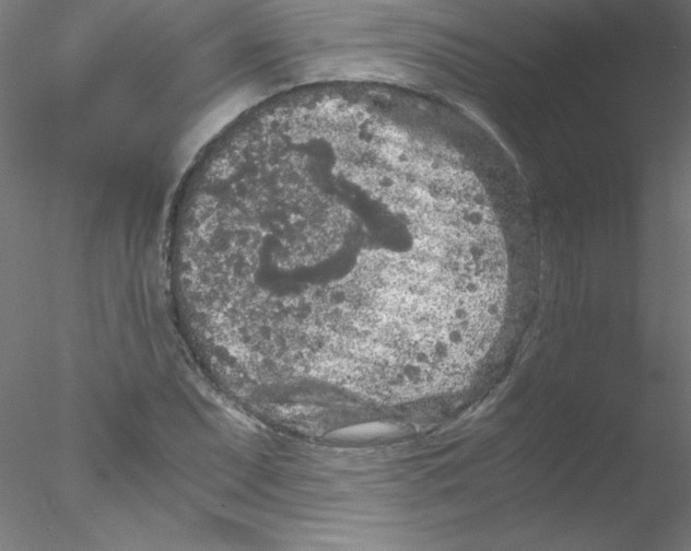 X0000076431071200611031833